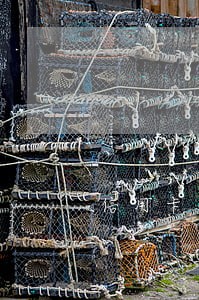 信用卡逾期 公司有车 信用卡逾期 公司有车